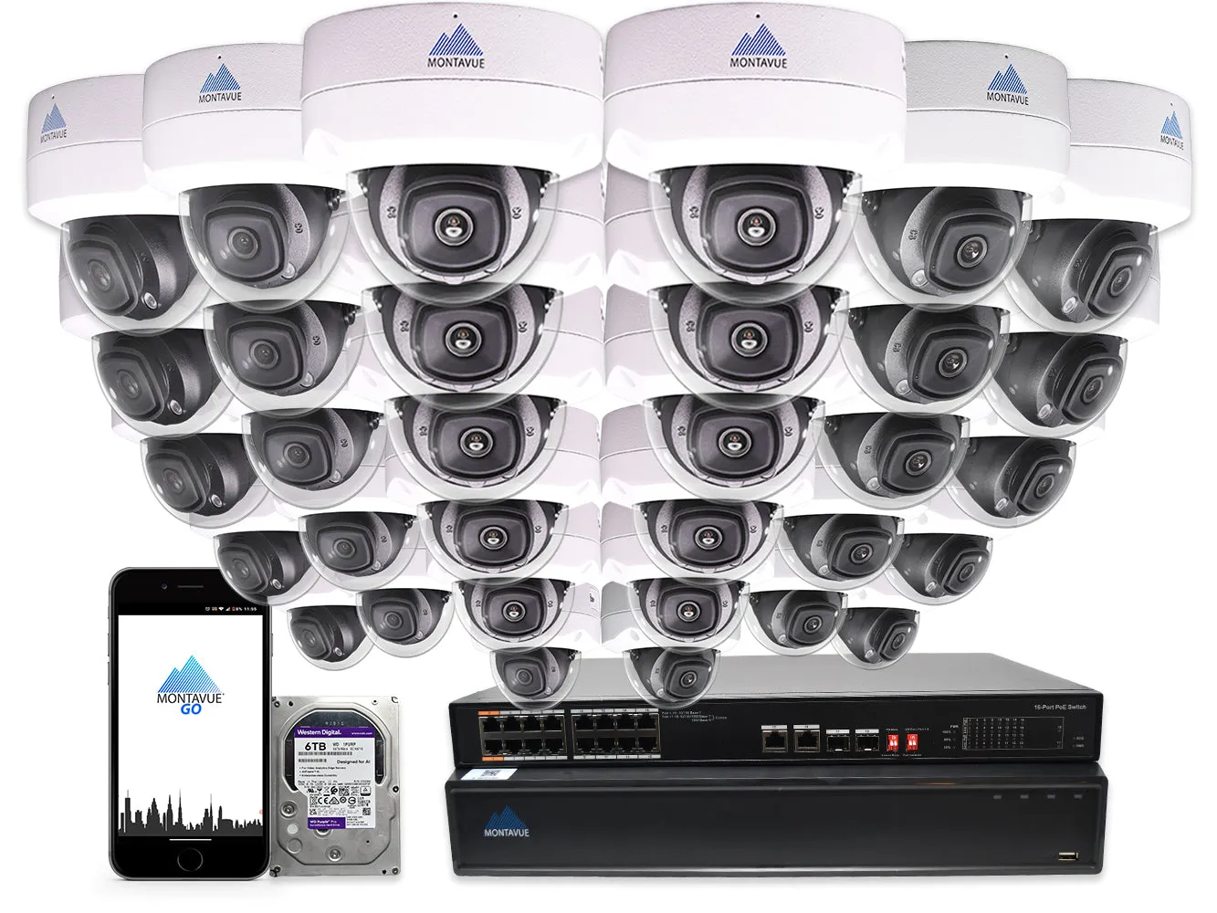 MTD8110 Package | 4K Acupick Vandal-Proof Dome Cameras and 32 Channel 5 Series AI NVR with 6TB HDD