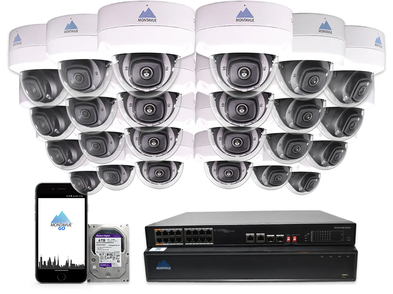 MTD8110 Package | 4K Acupick Vandal-Proof Dome Cameras and 32 Channel 5 Series AI NVR with 6TB HDD