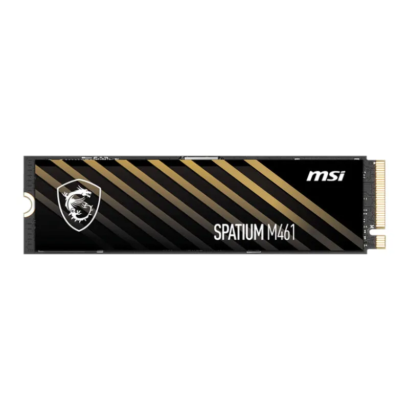 Spatium M461 Pcie 4.0 Nvme M.2 1Tb